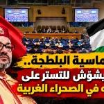 دبلوماسية البلطجة.. المخزن يشوّش للتستر على انتكاساته في الصحراء الغربية