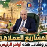 المشاريع العملاقة مع النيجر وتشاد.. هذه أوامر الرئيس تبون!