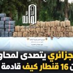 الجيش الجزائري يتصدى لمحاولة إغراق البلاد بأزيد من 16 قنطار كيف قادمة من المغرب!