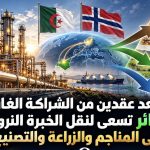 بعد عقدين من الشراكة الغازية.. الجزائر تسعى لنقل الخبرة النرويجية إلى المناجم والزراعة والتصنيع