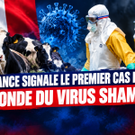 France : premier cas humain au monde du virus Shamonda signalé