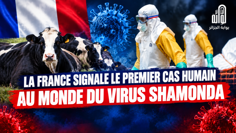 France : premier cas humain au monde du virus Shamonda signalé