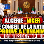 Algérie–Niger : le Conseil de la nation approuve à l’unanimité l’envoi d’unités de l’armée au Niger