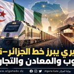 تقرير نيجيري يبرز خط الجزائر–تمنراست.. رهان الحبوب والمعادن والتجارة الإفريقية