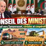 Conseil des ministres : Tebboune examine la loi de finances 2027 et les grands projets du Sud