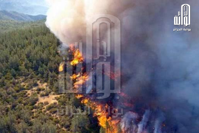 “الجزائر مستهدفة”.. وزير الداخلية الجزائري يحذّر من نقل أزمة فرنسا إلى الداخل الجزائري
