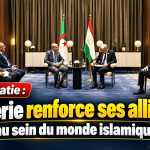 Diplomatie : l’Algérie renforce ses alliances au sein du monde islamique