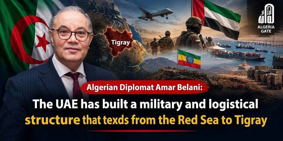 Algerian Diplomat: UAE Has Built a Military and Logistical Network Stretching from the Red Sea to Tigray
