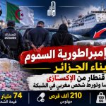  الأمن الجزائري يحبط مخططاً إجراميا .. ويضبط قنطارا من الإكستازي القادم من فرنسا