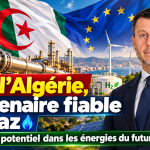 Union européenne : « L’Algérie est un partenaire fiable dans le domaine du gaz et possède un fort potentiel pour devenir un acteur majeur des futurs projets énergétiques »