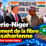 Algérie-Niger : lancement officiel de l’exploitation de la liaison fibre optique transsaharienne