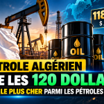 Pétrole : le brut algérien frôle les 120 dollars et devient le plus cher parmi les pétroles arabes
