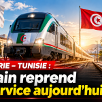 Algérie – Tunisie : le train reprend du service aujourd’hui