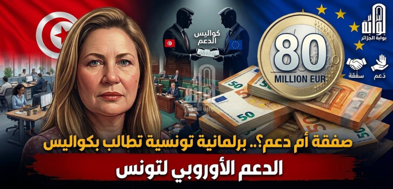 صفقة أم دعم؟.. برلمانية تونسية تطالب بكشف كواليس التمويل الأوروبي الأخير بـ 80 مليون يورو