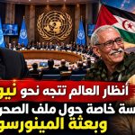 أنظار العالم تتجه نحو نيويورك.. جلسة خاصة حول ملف الصحراء الغربية وبعثة المينورسو!