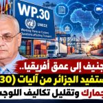 من جنيف إلى عمق أفريقيا.. كيف تستفيد الجزائر من آليات (WP.30) لرقمنة الجمارك وتقليل تكاليف اللوجستيات؟