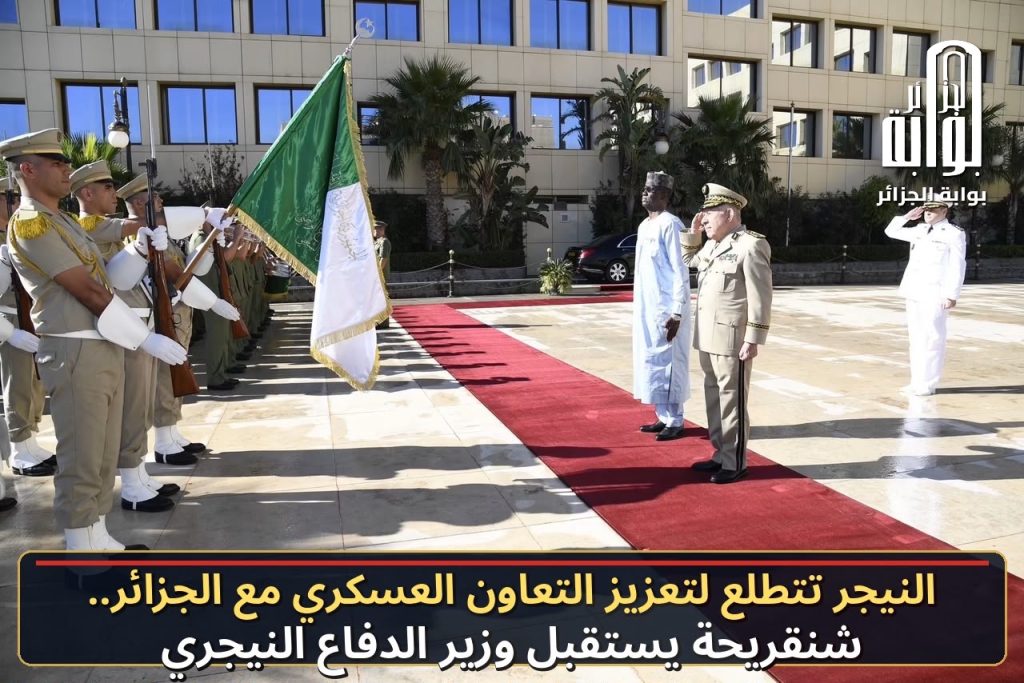 النيجر تتطلع لتعزيز التعاون العسكري مع الجزائر.. شنقريحة يستقبل وزير الدفاع النيجري