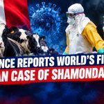 France reports world’s first human case of Shamonda virus
