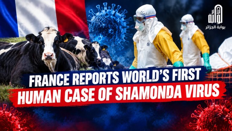France reports world’s first human case of Shamonda virus