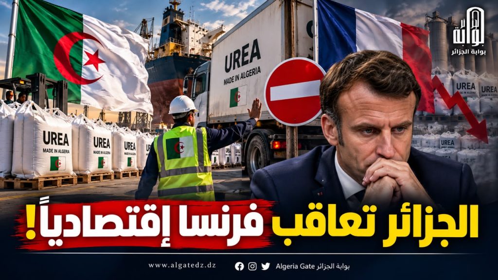 الجزائر تعاقب فرنسا اقتصادياً.. 219 مليون دولار على المحك وخسائر باريس تتسع