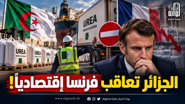 الجزائر تعاقب فرنسا اقتصادياً.. 219 مليون دولار على المحك وخسائر باريس تتسع