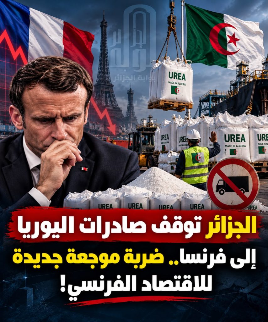 الجزائر تعاقب فرنسا اقتصادياً.. 219 مليون دولار على المحك وخسائر باريس تتسع