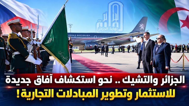 الجزائر و التشيك .. نحو استكشاف آفاق جديدة للإستثمار و تطوير المبادلات التجارية !