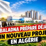 Baladna prépare un nouveau projet en Algérie : le Qatar veut renforcer ses investissements