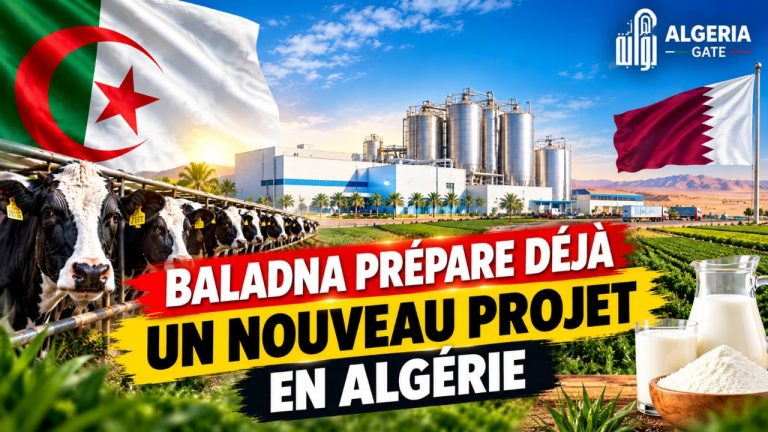 Baladna prépare un nouveau projet en Algérie : le Qatar veut renforcer ses investissements