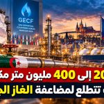 من 200 إلى 400 مليون متر مكعب.. التشيك تتطلع لمضاعفة الغاز الجزائري!