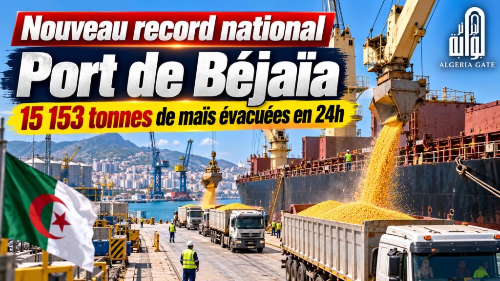 Exploit historique au port de Béjaïa : plus de 15 000 tonnes de maïs évacuées en seulement 24 heures !