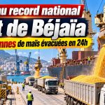 Exploit historique au port de Béjaïa : plus de 15 000 tonnes de maïs évacuées en seulement 24 heures !