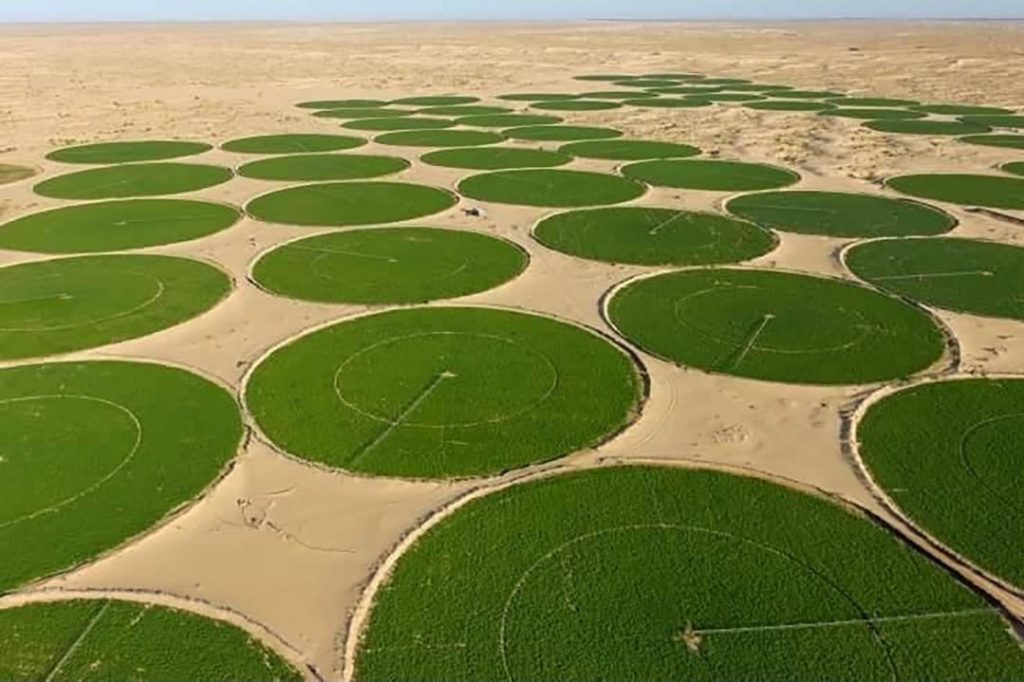 الجزائر تحصل على الضوء الأخضر لمشروع بـ99.5 مليون دولار.. أكثر من مليون مستفيد