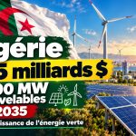 L’Algérie investit 24,5 milliards de dollars pour devenir une puissance des énergies renouvelables d’ici 2035