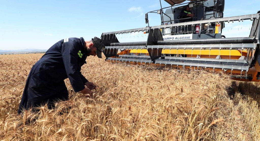 الجزائر تدفع باستثمار إيطالي بـ420 مليون يورو نحو الإنتاج الغذائي.. تيميمون تؤسس لسلسلة صناعية من الحقل إلى المصنع