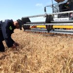 الجزائر تدفع باستثمار إيطالي بـ420 مليون يورو نحو الإنتاج الغذائي.. تيميمون تؤسس لسلسلة صناعية من الحقل إلى المصنع