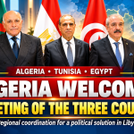 Algeria hosts trilateral ministerial meeting on Libya