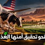 آلاف الأبقار الأمريكية تعبر الأطلسي .. الجزائر تستعد لثورة في إنتاج الحليب