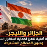الجزائر والنيجر.. شراكة أمنية تتعزز لحماية استقرار الساحل وصون المصالح المشتركة