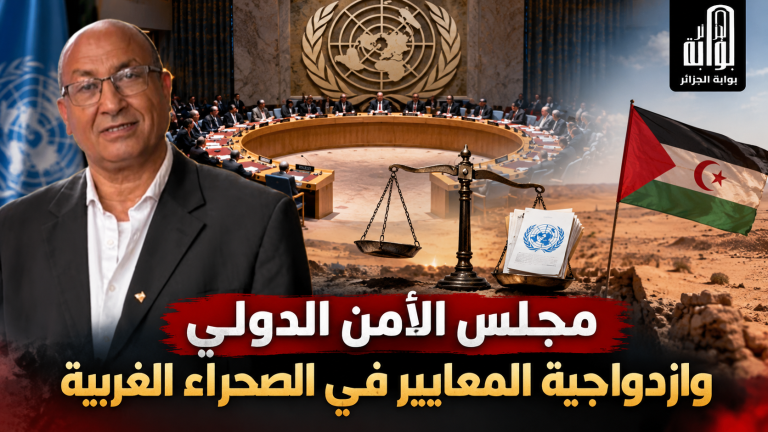 مجلس الامن الدولي وازدواجية المعايير في الصحراء الغربية