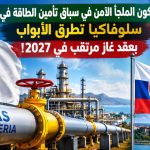 الجزائر ستكون الملجأ الآمن في سباق تأمين الطاقة في أوروبا.. سلوفاكيا تطرق الأبواب  بعقد غاز مرتقب في 2027!