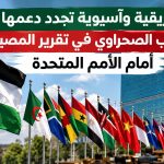دول إفريقية وآسيوية تجدد دعمها لحق الشعب الصحراوي في تقرير المصير أمام الأمم المتحدة