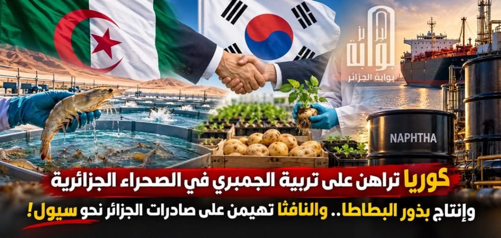 كوريا تراهن على تربية الجمبري في الصحراء الجزائرية وإنتاج بذور البطاطا.. والنافثا تهيمن على صادرات الجزائر نحو سيول!