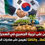 كوريا تراهن على تربية الجمبري في الصحراء الجزائرية وإنتاج بذور البطاطا.. والنافثا تهيمن على صادرات الجزائر نحو سيول!