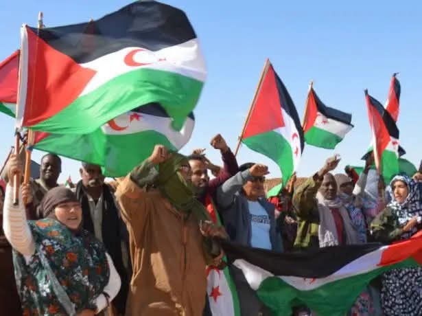 تجسس وابتزاز رقمي.. رابطة أوروبية تفتح النار على المغرب بسبب استهداف الصحراويين!