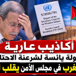 أكاذيب عارية ومحاولة يائسة لشرعنة الاحتلال… ممثل المغرب في مجلس الأمن يقلب الحقائق عليه