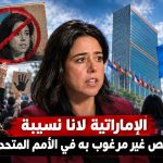 الإماراتية لانا نسيبة شخص غير مرغوب به في الأمم المتحدة!